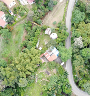 Lote-01