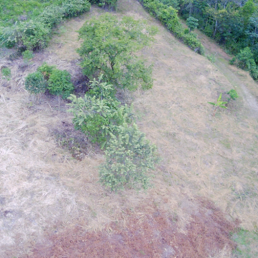 Lote-G-01