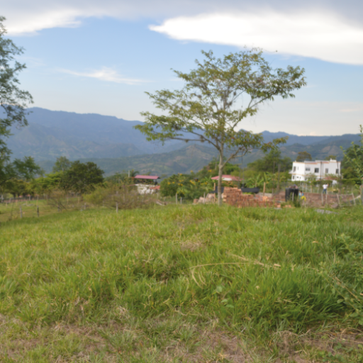 Trinidad-02